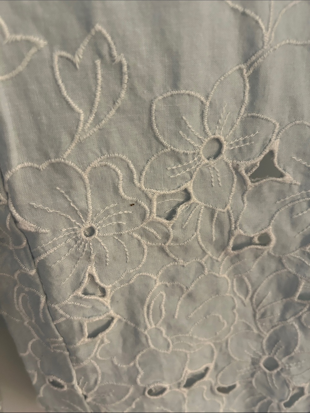 Talbots Pale Blue Floral Eyelet Wide Leg Pant